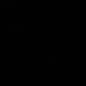 Meet your Posher, Kenneth